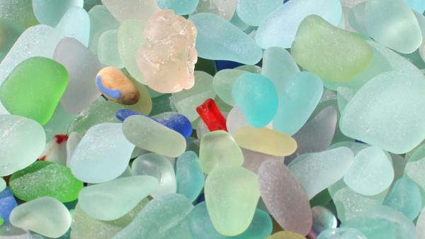 Image for event: Treasures from the Deep: Discover Nature's Vanishing Gems